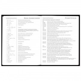 Дневник 5-11 класс 48 л., твердый, BRAUBERG, матовая ламинация, с подсказом, Штош, 107190