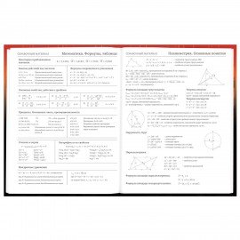 Дневник 5-11 класс 48 л., твердый, BRAUBERG, глянцевая ламинация, с подсказом, Самурай, 107191