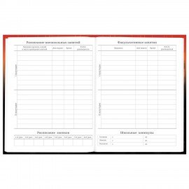 Дневник 5-11 класс 48 л., твердый, BRAUBERG, глянцевая ламинация, с подсказом, Самурай, 107191