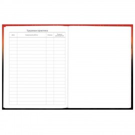 Дневник 5-11 класс 48 л., твердый, BRAUBERG, глянцевая ламинация, с подсказом, Самурай, 107191