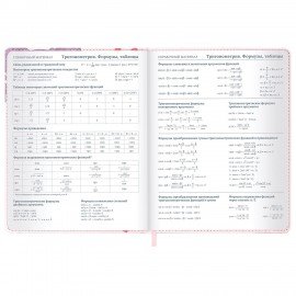 Дневник 1-11 класс 48л, кожзам (твердая), застежка, FUNSTER, Аниме Девочка, 107228