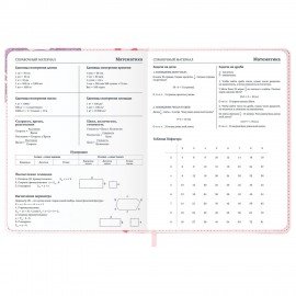 Дневник 1-11 класс 48л, кожзам (твердая), застежка, FUNSTER, Аниме Девочка, 107228