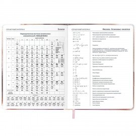 Дневник 1-11 класс 48л, кожзам (твердая), застежка, FUNSTER, Котик с рыбкой, 107229