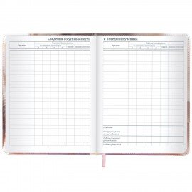 Дневник 1-11 класс 48л, кожзам (твердая), застежка, FUNSTER, Котик с рыбкой, 107229