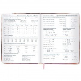 Дневник 1-11 класс 48л, кожзам (твердая), застежка, FUNSTER, Котик с рыбкой, 107229