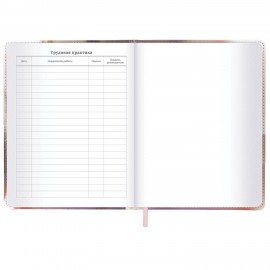 Дневник 1-11 класс 48л, кожзам (твердая), застежка, FUNSTER, Котик с рыбкой, 107229