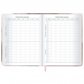 Дневник 1-11 класс 48л, кожзам (твердая), застежка, FUNSTER, Котик с рыбкой, 107229