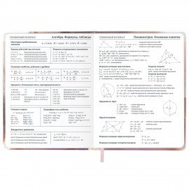 Дневник 1-11 класс 48л, кожзам (твердая), застежка, FUNSTER, Котик с рыбкой, 107229