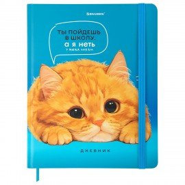 Дневник 1-11 класс 48л, твердый, BRAUBERG, матовая ламинация, резинка, закладка-ляссе, с подсказом, Котик, 107239