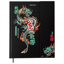 Дневник 1-11 класс 48л, твердый, BRAUBERG, матовая ламинация, магнитный клапан, закладка-ляссе, с подсказом, Дракон, 107245