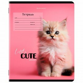 Тетрадь 12 л. BRAUBERG, клетка, обложка картон, CUTE ANIMALS, 107266