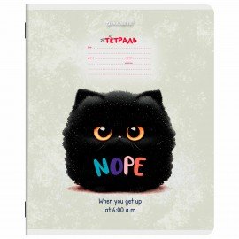 Тетрадь 12 л. BRAUBERG клетка, обложка картон, МИКС-1, 107268