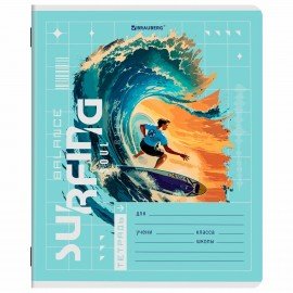 Тетрадь 12 л. BRAUBERG клетка, обложка картон, МИКС-2, 107269