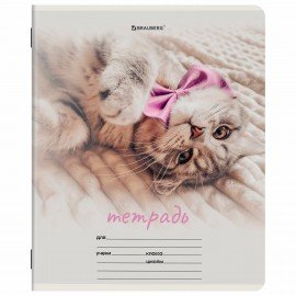 Тетрадь 12 л. BRAUBERG клетка, обложка картон, МИКС-2, 107269