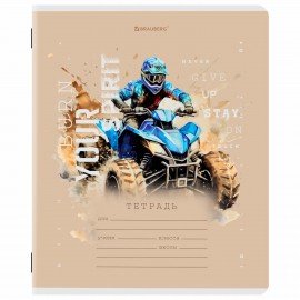 Тетрадь 12 л. BRAUBERG клетка, обложка картон, МИКС-3, 107270