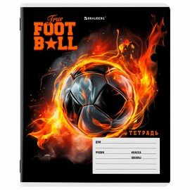 Тетрадь 12 л. BRAUBERG клетка, обложка картон, МИКС-3, 107270