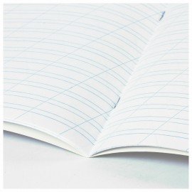 Тетрадь 12 л. BRAUBERG косая линия, обложка картон, CATS AND DOGS, 107288