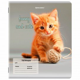 Тетрадь 12 л. BRAUBERG косая линия, обложка картон, CATS AND DOGS, 107288