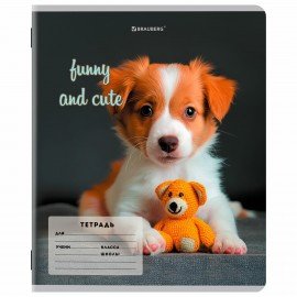 Тетрадь 12 л. BRAUBERG косая линия, обложка картон, CATS AND DOGS, 107288