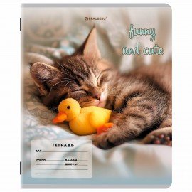 Тетрадь 12 л. BRAUBERG косая линия, обложка картон, CATS AND DOGS, 107288