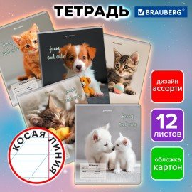 Тетрадь 12 л. BRAUBERG косая линия, обложка картон, CATS AND DOGS, 107288