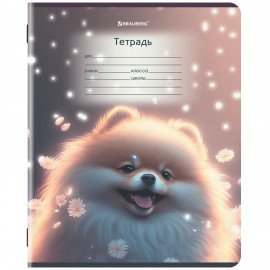 Тетрадь 12 л. BRAUBERG, косая линия, обложка картон, ЗВЕРУШКИ, 107289