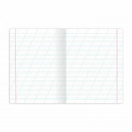 Тетрадь 12 л. BRAUBERG косая линия, обложка картон, ФУТБОЛ, 107290