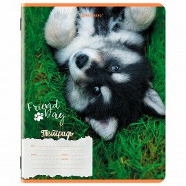 Тетрадь 18 л. BRAUBERG клетка, обложка картон, СОБАЧКИ, 107295