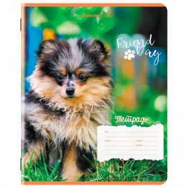 Тетрадь 18 л. BRAUBERG клетка, обложка картон, СОБАЧКИ, 107295