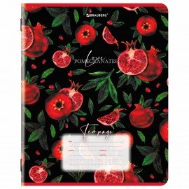 Тетрадь 18 л. BRAUBERG, клетка, обложка картон, ГРАНАТ, 107296