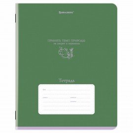 Тетрадь 24 л. BRAUBERG клетка, обложка картон, PHRASES, 107304