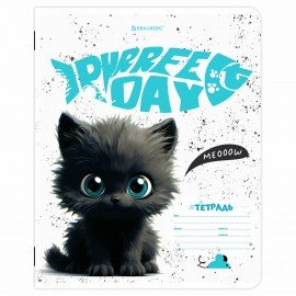 Тетради ДЭК 12 л., КОМПЛЕКТ 10 шт., BRAUBERG, клетка, обложка картон, "КОТИКИ", 107318