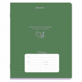 Тетради ДЭК 18 л. КОМПЛЕКТ 10 шт. BRAUBERG, линия, обложка картон, "PHRASES", 107339