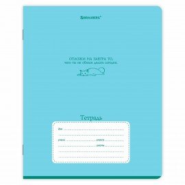 Тетради ДЭК 18 л. КОМПЛЕКТ 10 шт. BRAUBERG, линия, обложка картон, "PHRASES", 107339