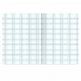 Тетради ДЭК 24 л. КОМПЛЕКТ 10 шт. BRAUBERG, клетка, обложка картон, "ONE COLOUR", 107342