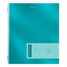 Тетради ДЭК 24 л. КОМПЛЕКТ 10 шт. BRAUBERG, клетка, обложка картон, "ONE COLOUR", 107342