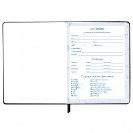 Дневник для музыкальной школы 48л, обложка кожзам твердая, фольга, BRAUBERG, черный, МУЗЫКАНТЫ, 107366