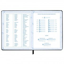 Дневник для музыкальной школы 48л, обложка кожзам твердая, фольга, BRAUBERG, черный, МУЗЫКАНТЫ, 107366