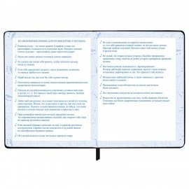 Дневник для музыкальной школы 48л, обложка кожзам твердая, фольга, BRAUBERG, черный, МУЗЫКАНТЫ, 107366