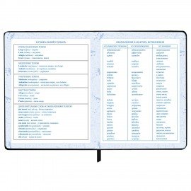 Дневник для музыкальной школы 48л, обложка кожзам твердая, фольга, BRAUBERG, черный, МУЗЫКАНТЫ, 107366