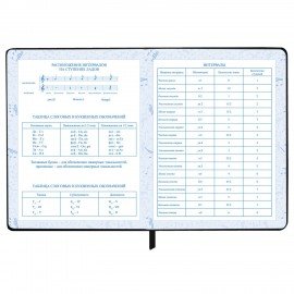 Дневник для музыкальной школы 48л, обложка кожзам твердая, фольга, BRAUBERG, черный, МУЗЫКАНТЫ, 107366