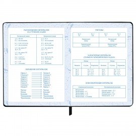 Дневник для музыкальной школы 48л, обложка кожзам твердая, фольга, BRAUBERG, черный, МУЗЫКАНТЫ, 107366