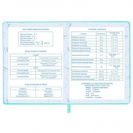 Дневник для музыкальной школы 48л, обложка кожзам твердая, фольга, BRAUBERG, мятный, КОТИК, 107367