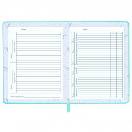 Дневник для музыкальной школы 48л, обложка кожзам твердая, фольга, BRAUBERG, мятный, КОТИК, 107367