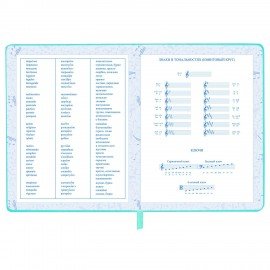 Дневник для музыкальной школы 48л, обложка кожзам твердая, фольга, BRAUBERG, мятный, КОТИК, 107367