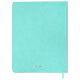 Дневник для музыкальной школы 48л, обложка кожзам твердая, фольга, BRAUBERG, мятный, КОТИК, 107367