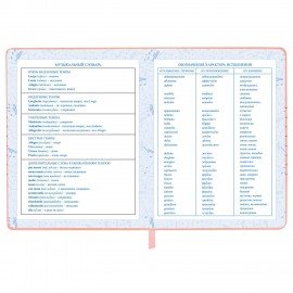 Дневник для музыкальной школы 48л, обложка кожзам твердая, фольга, BRAUBERG, розовый, НОТКИ, 107368
