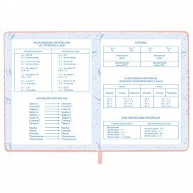 Дневник для музыкальной школы 48л, обложка кожзам твердая, фольга, BRAUBERG, розовый, НОТКИ, 107368