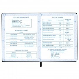 Дневник для музыкальной школы 48л, обложка кожзам твердая, фольга, BRAUBERG, черный КЛАССИКА, 107369