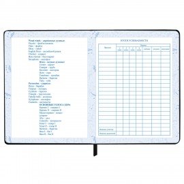 Дневник для музыкальной школы 48л, обложка кожзам твердая, фольга, BRAUBERG, черный КЛАССИКА, 107369